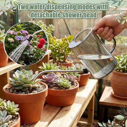 Plants Watering Can for Indoor Plants with Long Stainless Steel Spout & Soil Moisture Meter Long Spout Watering Cans for House Plant, Pot Flower, Succulent, Garden(Gray,1 L,Cylindrical)
