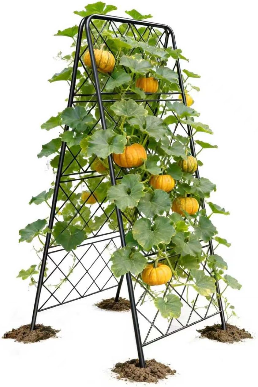 50"x17" Heavy Duty Metal Garden Trellis - Rust-Proof A-Frame Cucumber Trellis with High-Density Rhombus SteelGrats for Climbing Plants, Tomatoes & Raised Beds, Outdoor Use (2 Pack)