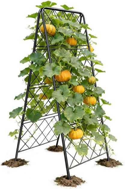 50"x17" Heavy Duty Metal Garden Trellis - Rust-Proof A-Frame Cucumber Trellis with High-Density Rhombus SteelGrats for Climbing Plants, Tomatoes & Raised Beds, Outdoor Use (2 Pack)