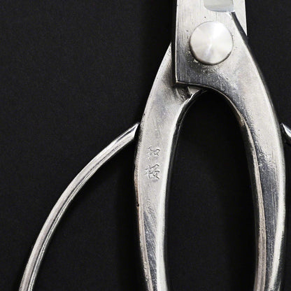 Wazakura Stainless Steel Series Traditional Bonsai Scissors, Made in Japan 7 in (180 mm), Hasami Pruning Shears, Professional Garden Tools (Traditional Stainless Steel)