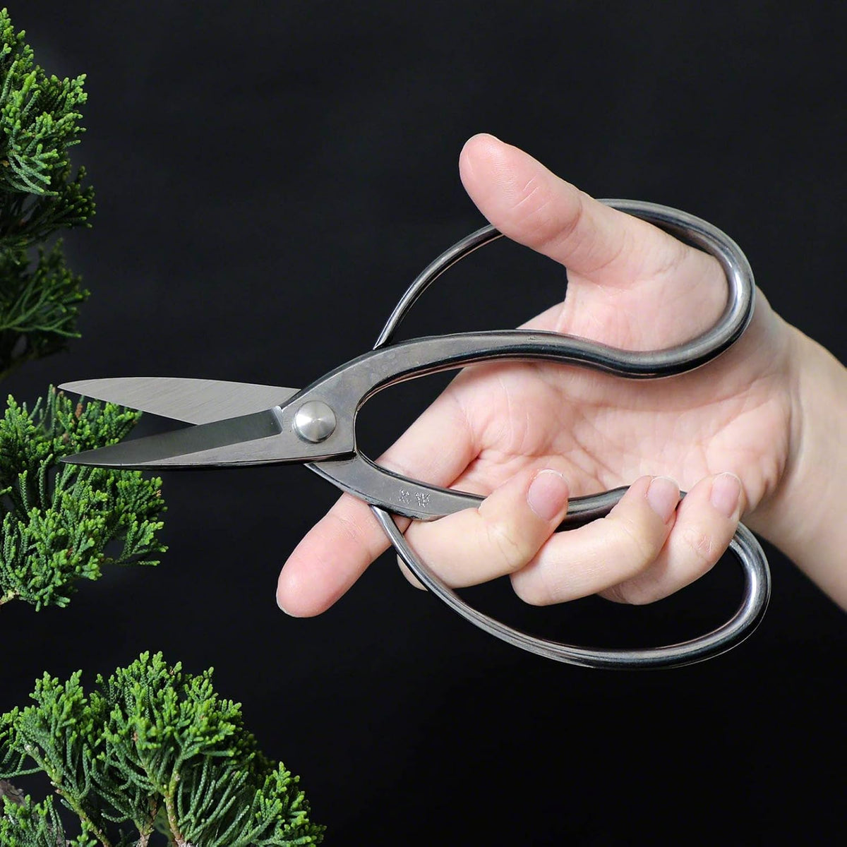 Wazakura Stainless Steel Series Traditional Bonsai Scissors, Made in Japan 7 in (180 mm), Hasami Pruning Shears, Professional Garden Tools (Traditional Stainless Steel)