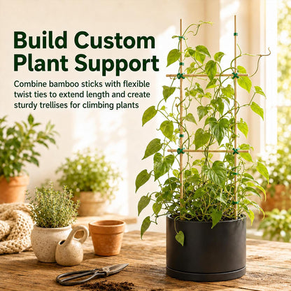 MAQIHAN Plant Stakes for Indoor Plants - 40PCS Plant Support Sticks, 9.8"