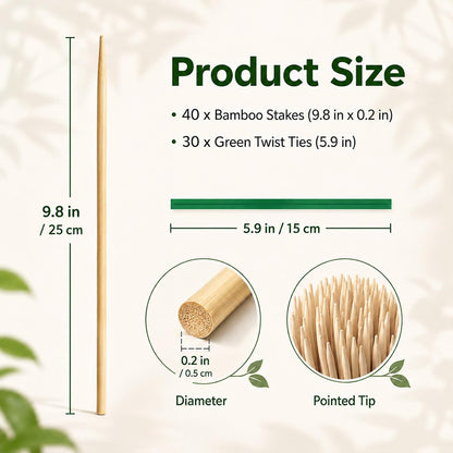 MAQIHAN Plant Stakes for Indoor Plants - 40PCS Plant Support Sticks, 9.8"
