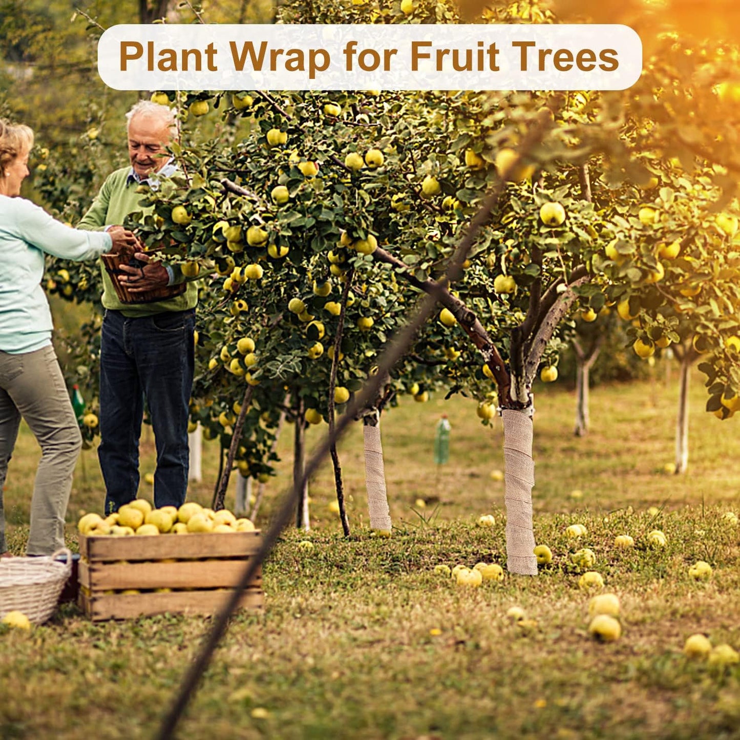 2 Roll Burlap Tree Protector Wraps 7.8" × 9.8' Winter Garden Plants Wraps