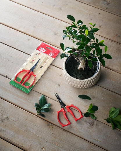 420 Trimming Scissors – 6.1" Garden Clippers with Fine Tip & Non-Stick Blade | Pruning Shears for Gardening | Garden Scissors for Plant with Stainless Steel Blade, Built-In Ruler