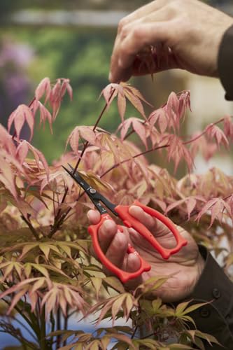 420 Trimming Scissors – 6.1" Garden Clippers with Fine Tip & Non-Stick Blade | Pruning Shears for Gardening | Garden Scissors for Plant with Stainless Steel Blade, Built-In Ruler