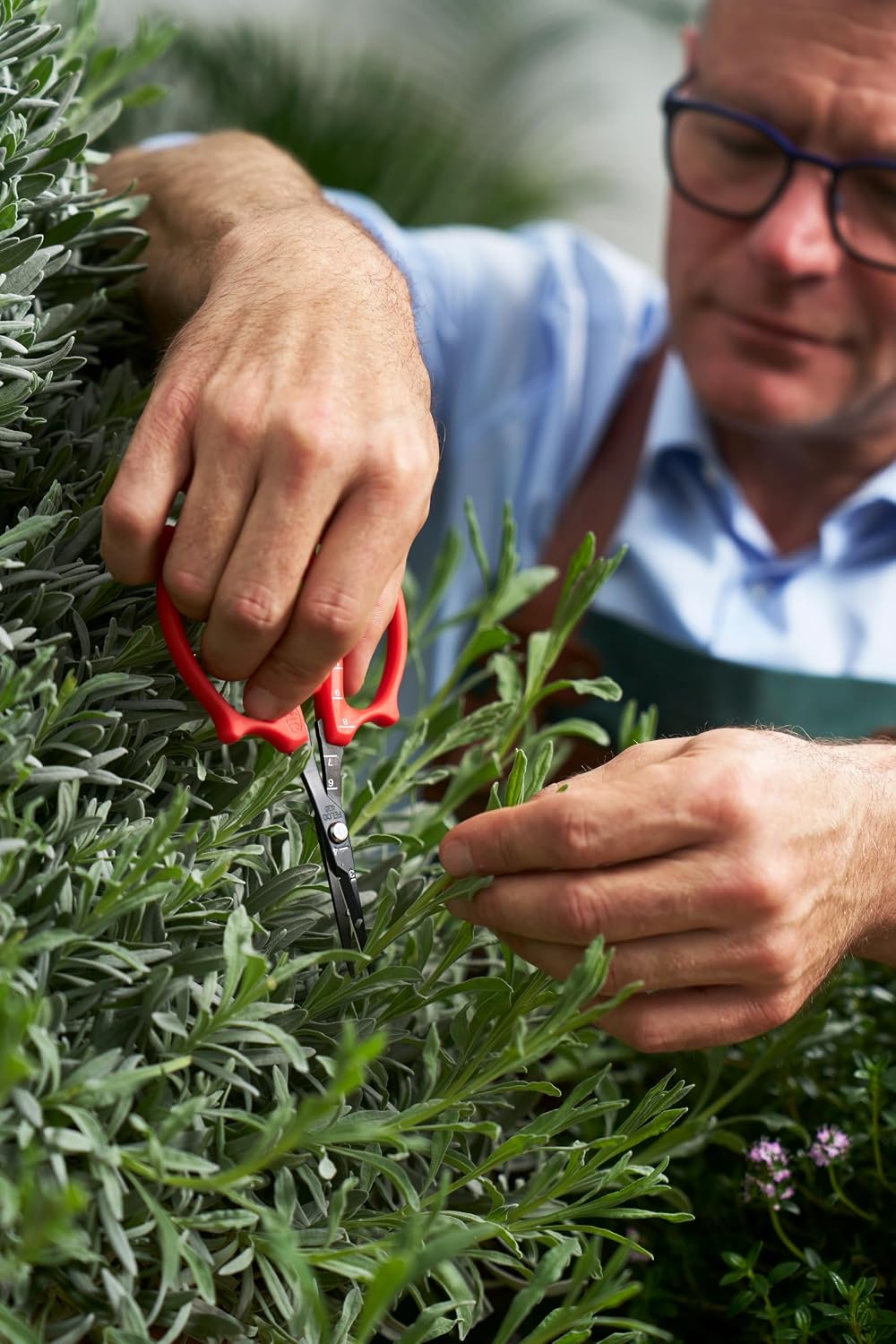 420 Trimming Scissors – 6.1" Garden Clippers with Fine Tip & Non-Stick Blade | Pruning Shears for Gardening | Garden Scissors for Plant with Stainless Steel Blade, Built-In Ruler