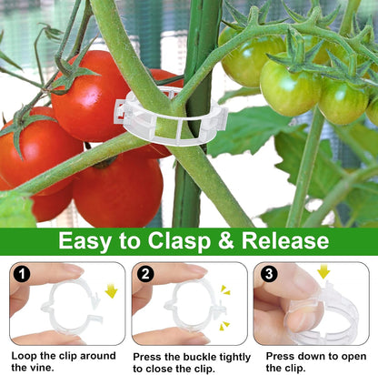 250 Pcs Tomato Clips and Hooks, Plant Support Clips for Tomatoes Grape Grow