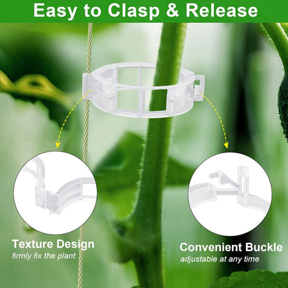 250 Pcs Tomato Clips and Hooks, Plant Support Clips for Tomatoes Grape Grow