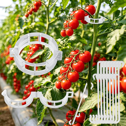 250 Pcs Tomato Clips and Hooks, Plant Support Clips for Tomatoes Grape Grow