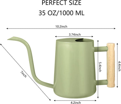 Watering Can Indoor Plants, 35oz Small Indoor Stainless Steel Metal Watering Can Modern Decorative Watering Pot with Long Spout for Indoor House Plant Bonsai Garden Flowers (Sage Green)