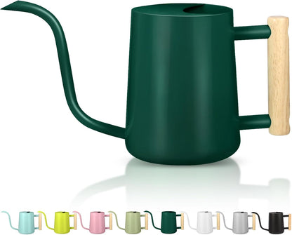 Watering Can Indoor Plants, 35oz Small Indoor Stainless Steel Metal Watering Can Modern Decorative Watering Pot with Long Spout for Indoor House Plant Bonsai Garden Flowers (Sage Green)