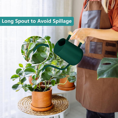 Watering Can Indoor Plants, 35oz Small Indoor Stainless Steel Metal Watering Can Modern Decorative Watering Pot with Long Spout for Indoor House Plant Bonsai Garden Flowers (Sage Green)