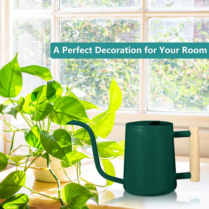 Watering Can Indoor Plants, 35oz Small Indoor Stainless Steel Metal Watering Can Modern Decorative Watering Pot with Long Spout for Indoor House Plant Bonsai Garden Flowers (Sage Green)