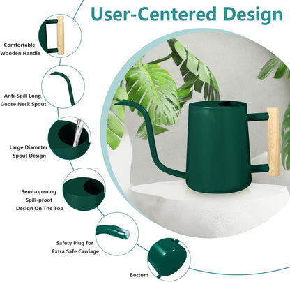 Watering Can Indoor Plants, 35oz Small Indoor Stainless Steel Metal Watering Can Modern Decorative Watering Pot with Long Spout for Indoor House Plant Bonsai Garden Flowers (Sage Green)