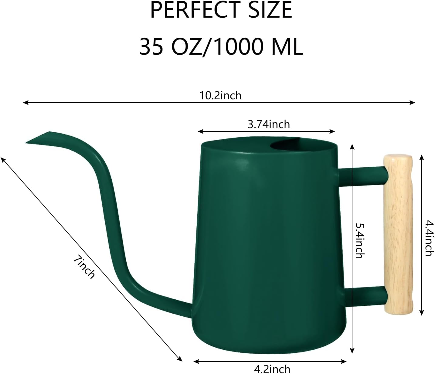 Watering Can Indoor Plants, 35oz Small Indoor Stainless Steel Metal Watering Can Modern Decorative Watering Pot with Long Spout for Indoor House Plant Bonsai Garden Flowers (Sage Green)