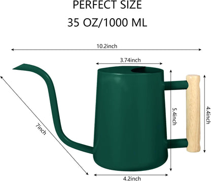 Watering Can Indoor Plants, 35oz Small Indoor Stainless Steel Metal Watering Can Modern Decorative Watering Pot with Long Spout for Indoor House Plant Bonsai Garden Flowers (Sage Green)