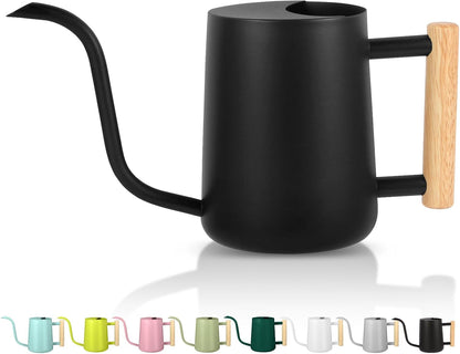 Watering Can Indoor Plants, 35oz Small Indoor Stainless Steel Metal Watering Can Modern Decorative Watering Pot with Long Spout for Indoor House Plant Bonsai Garden Flowers (Sage Green)