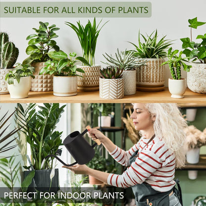 Watering Can Indoor Plants, 35oz Small Indoor Stainless Steel Metal Watering Can Modern Decorative Watering Pot with Long Spout for Indoor House Plant Bonsai Garden Flowers (Sage Green)