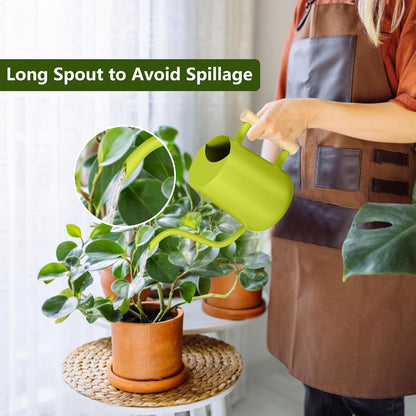Watering Can Indoor Plants, 35oz Small Indoor Stainless Steel Metal Watering Can Modern Decorative Watering Pot with Long Spout for Indoor House Plant Bonsai Garden Flowers (Sage Green)