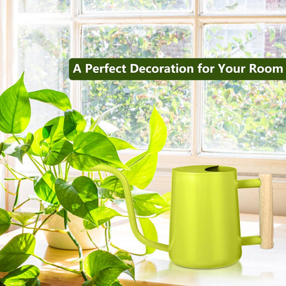 Watering Can Indoor Plants, 35oz Small Indoor Stainless Steel Metal Watering Can Modern Decorative Watering Pot with Long Spout for Indoor House Plant Bonsai Garden Flowers (Sage Green)
