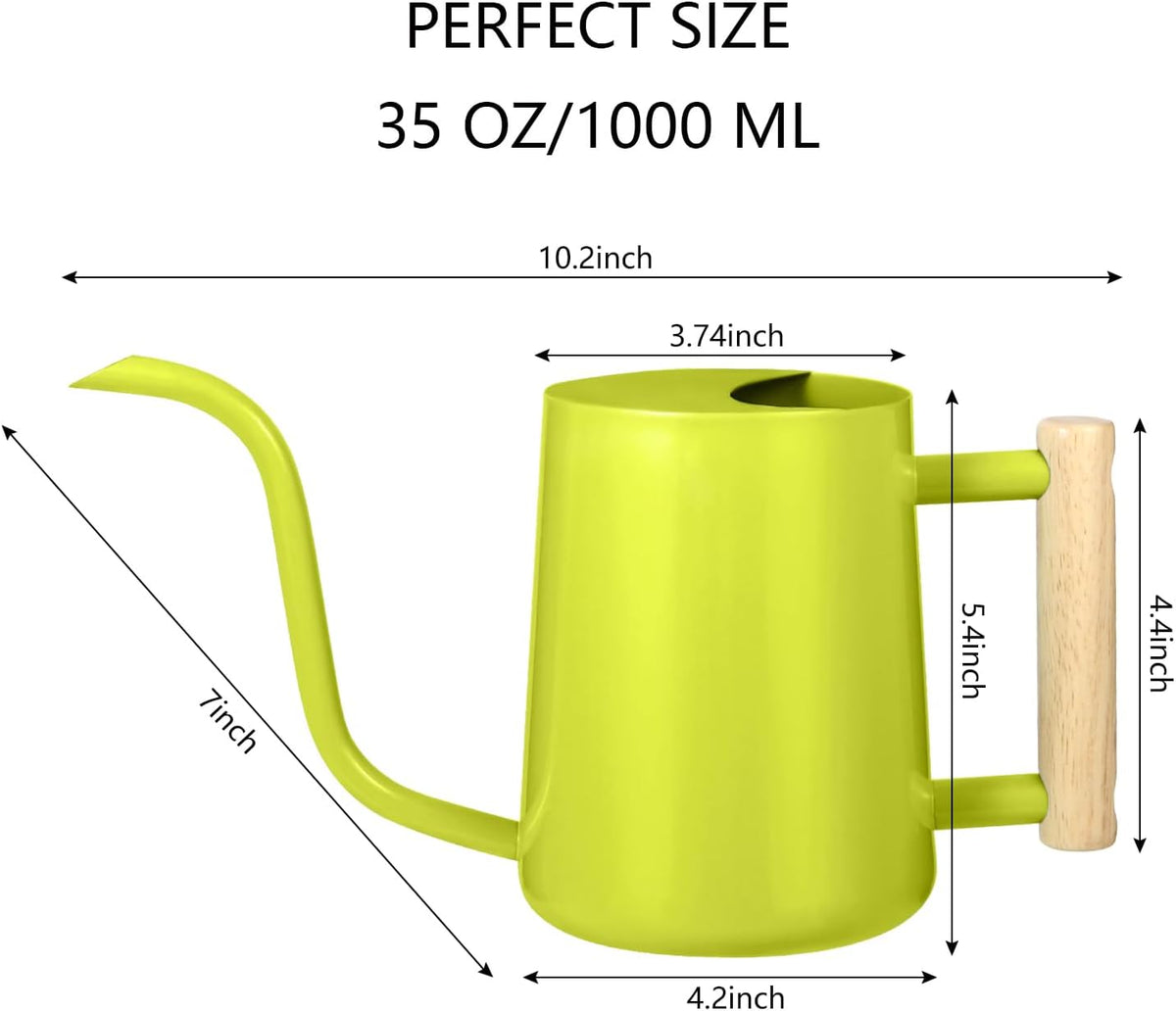Watering Can Indoor Plants, 35oz Small Indoor Stainless Steel Metal Watering Can Modern Decorative Watering Pot with Long Spout for Indoor House Plant Bonsai Garden Flowers (Sage Green)
