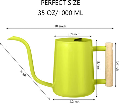 Watering Can Indoor Plants, 35oz Small Indoor Stainless Steel Metal Watering Can Modern Decorative Watering Pot with Long Spout for Indoor House Plant Bonsai Garden Flowers (Sage Green)