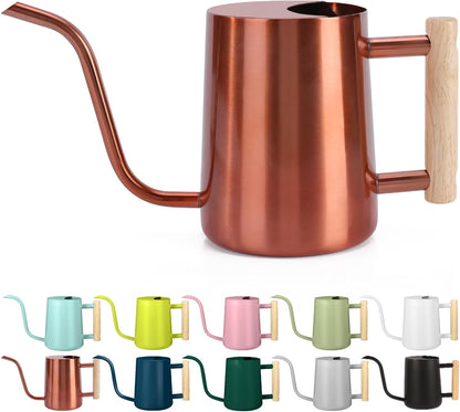 Watering Can Indoor Plants, 35oz Small Indoor Stainless Steel Metal Watering Can Modern Decorative Watering Pot with Long Spout for Indoor House Plant Bonsai Garden Flowers (Sage Green)