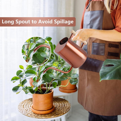 Watering Can Indoor Plants, 35oz Small Indoor Stainless Steel Metal Watering Can Modern Decorative Watering Pot with Long Spout for Indoor House Plant Bonsai Garden Flowers (Sage Green)