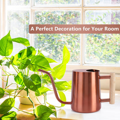 Watering Can Indoor Plants, 35oz Small Indoor Stainless Steel Metal Watering Can Modern Decorative Watering Pot with Long Spout for Indoor House Plant Bonsai Garden Flowers (Sage Green)
