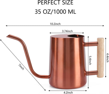 Watering Can Indoor Plants, 35oz Small Indoor Stainless Steel Metal Watering Can Modern Decorative Watering Pot with Long Spout for Indoor House Plant Bonsai Garden Flowers (Sage Green)