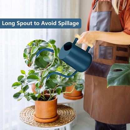 Watering Can Indoor Plants, 35oz Small Indoor Stainless Steel Metal Watering Can Modern Decorative Watering Pot with Long Spout for Indoor House Plant Bonsai Garden Flowers (Sage Green)