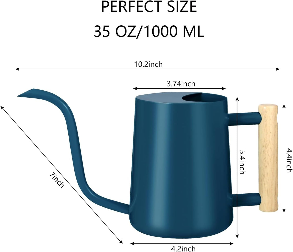 Watering Can Indoor Plants, 35oz Small Indoor Stainless Steel Metal Watering Can Modern Decorative Watering Pot with Long Spout for Indoor House Plant Bonsai Garden Flowers (Sage Green)