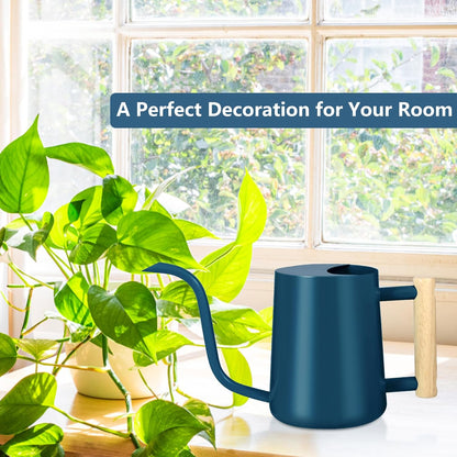 Watering Can Indoor Plants, 35oz Small Indoor Stainless Steel Metal Watering Can Modern Decorative Watering Pot with Long Spout for Indoor House Plant Bonsai Garden Flowers (Sage Green)