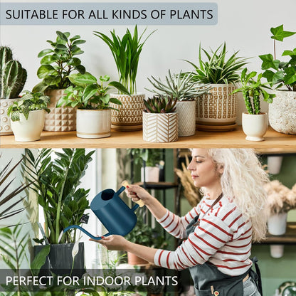Watering Can Indoor Plants, 35oz Small Indoor Stainless Steel Metal Watering Can Modern Decorative Watering Pot with Long Spout for Indoor House Plant Bonsai Garden Flowers (Sage Green)