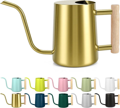 Watering Can Indoor Plants, 35oz Small Indoor Stainless Steel Metal Watering Can Modern Decorative Watering Pot with Long Spout for Indoor House Plant Bonsai Garden Flowers (Sage Green)
