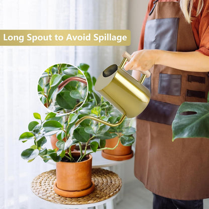 Watering Can Indoor Plants, 35oz Small Indoor Stainless Steel Metal Watering Can Modern Decorative Watering Pot with Long Spout for Indoor House Plant Bonsai Garden Flowers (Sage Green)