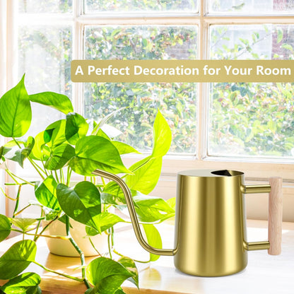 Watering Can Indoor Plants, 35oz Small Indoor Stainless Steel Metal Watering Can Modern Decorative Watering Pot with Long Spout for Indoor House Plant Bonsai Garden Flowers (Sage Green)