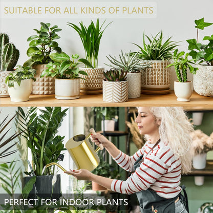 Watering Can Indoor Plants, 35oz Small Indoor Stainless Steel Metal Watering Can Modern Decorative Watering Pot with Long Spout for Indoor House Plant Bonsai Garden Flowers (Sage Green)