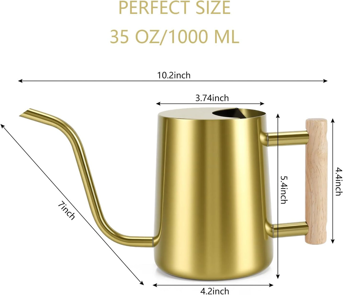 Watering Can Indoor Plants, 35oz Small Indoor Stainless Steel Metal Watering Can Modern Decorative Watering Pot with Long Spout for Indoor House Plant Bonsai Garden Flowers (Sage Green)
