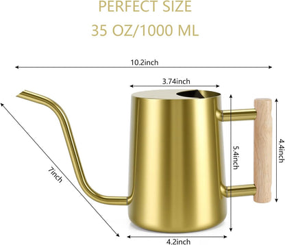 Watering Can Indoor Plants, 35oz Small Indoor Stainless Steel Metal Watering Can Modern Decorative Watering Pot with Long Spout for Indoor House Plant Bonsai Garden Flowers (Sage Green)