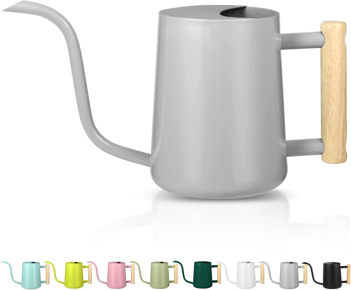 Watering Can Indoor Plants, 35oz Small Indoor Stainless Steel Metal Watering Can Modern Decorative Watering Pot with Long Spout for Indoor House Plant Bonsai Garden Flowers (Sage Green)
