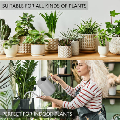 Watering Can Indoor Plants, 35oz Small Indoor Stainless Steel Metal Watering Can Modern Decorative Watering Pot with Long Spout for Indoor House Plant Bonsai Garden Flowers (Sage Green)