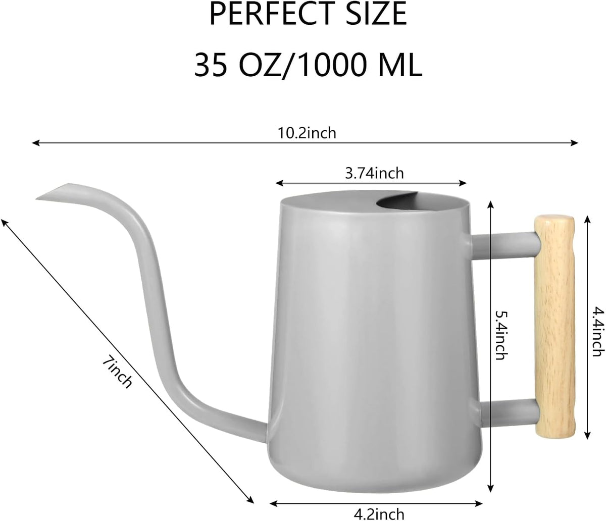 Watering Can Indoor Plants, 35oz Small Indoor Stainless Steel Metal Watering Can Modern Decorative Watering Pot with Long Spout for Indoor House Plant Bonsai Garden Flowers (Sage Green)