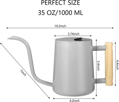 Watering Can Indoor Plants, 35oz Small Indoor Stainless Steel Metal Watering Can Modern Decorative Watering Pot with Long Spout for Indoor House Plant Bonsai Garden Flowers (Sage Green)