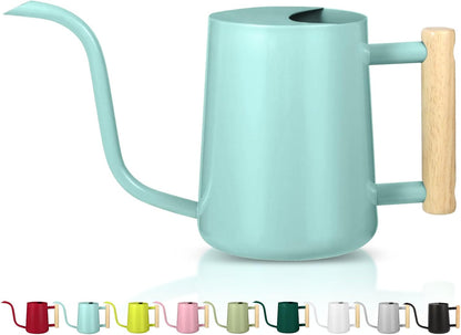 Watering Can Indoor Plants, 35oz Small Indoor Stainless Steel Metal Watering Can Modern Decorative Watering Pot with Long Spout for Indoor House Plant Bonsai Garden Flowers (Sage Green)