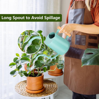 Watering Can Indoor Plants, 35oz Small Indoor Stainless Steel Metal Watering Can Modern Decorative Watering Pot with Long Spout for Indoor House Plant Bonsai Garden Flowers (Sage Green)