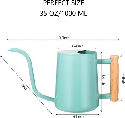 Watering Can Indoor Plants, 35oz Small Indoor Stainless Steel Metal Watering Can Modern Decorative Watering Pot with Long Spout for Indoor House Plant Bonsai Garden Flowers (Sage Green)
