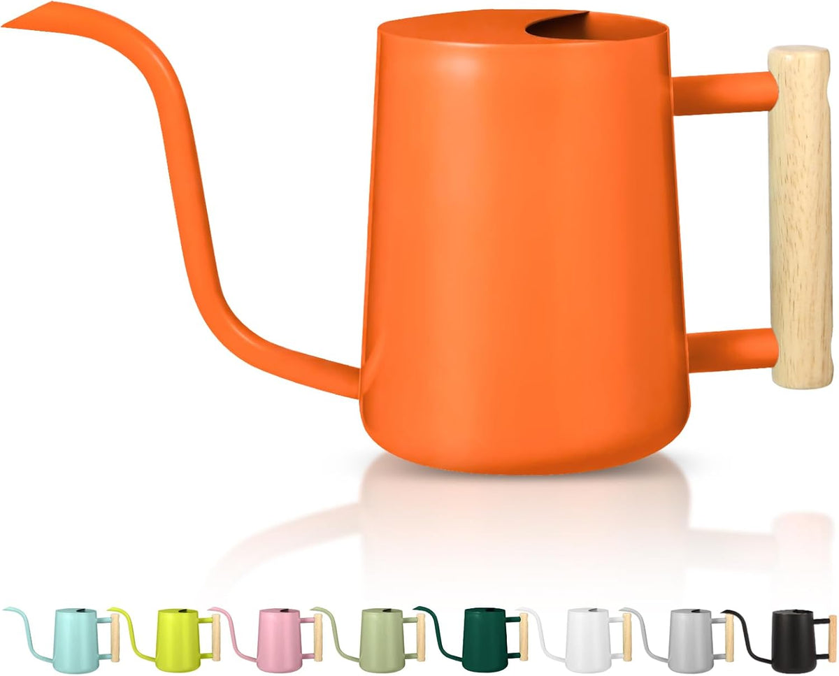 Watering Can Indoor Plants, 35oz Small Indoor Stainless Steel Metal Watering Can Modern Decorative Watering Pot with Long Spout for Indoor House Plant Bonsai Garden Flowers (Sage Green)