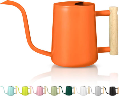 Watering Can Indoor Plants, 35oz Small Indoor Stainless Steel Metal Watering Can Modern Decorative Watering Pot with Long Spout for Indoor House Plant Bonsai Garden Flowers (Sage Green)